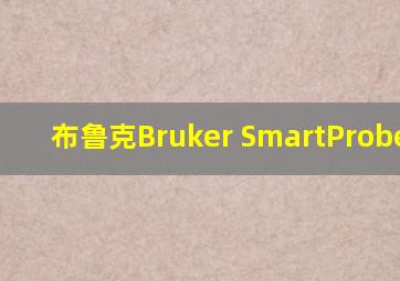 布鲁克Bruker SmartProber TT